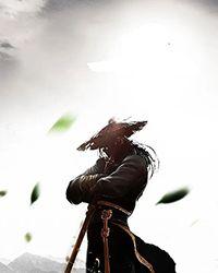 剑影横秋有没有男主