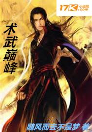 术武巅峰